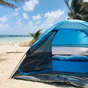 check availability